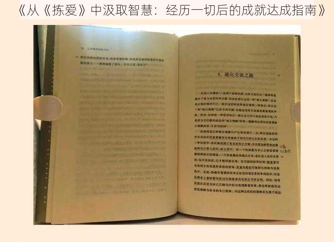 《从《拣爱》中汲取智慧：经历一切后的成就达成指南》