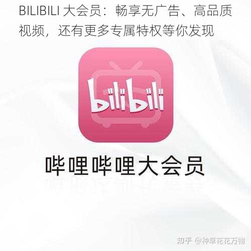 BILIBILI 大会员：畅享无广告、高品质视频，还有更多专属特权等你发现