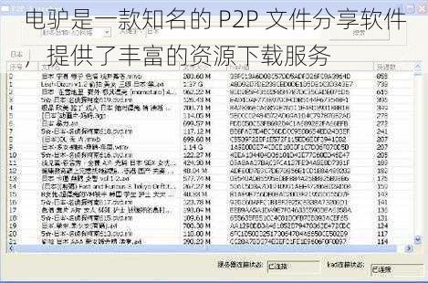 电驴是一款知名的 P2P 文件分享软件，提供了丰富的资源下载服务