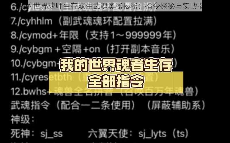 我的世界魂师生存双生武魂奥秘揭秘：指令探秘与实战指南