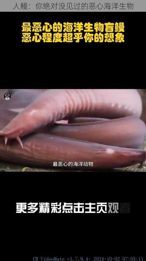 人鳗：你绝对没见过的恶心海洋生物