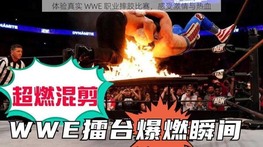 体验真实 WWE 职业摔跤比赛，感受激情与热血