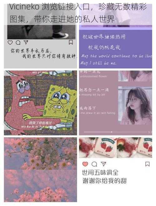 Vicineko 浏览链接入口，珍藏无数精彩图集，带你走进她的私人世界