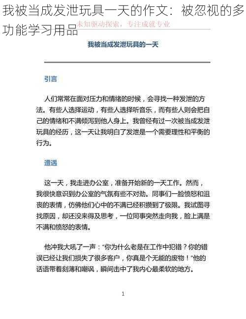 我被当成发泄玩具一天的作文：被忽视的多功能学习用品