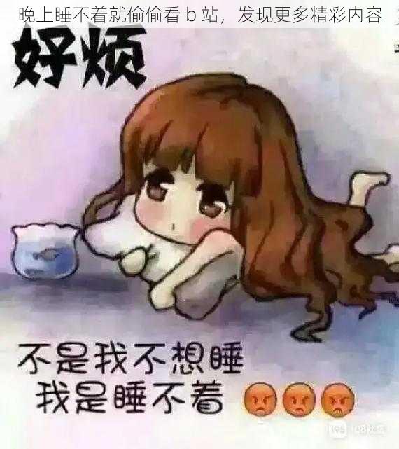 晚上睡不着就偷偷看 b 站，发现更多精彩内容