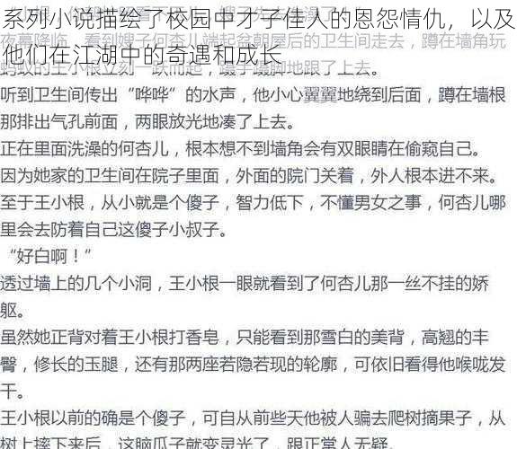 系列小说描绘了校园中才子佳人的恩怨情仇，以及他们在江湖中的奇遇和成长