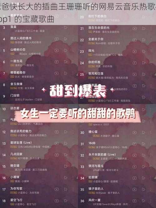 爸爸快长大的插曲王珊珊听的网易云音乐热歌榜 top1 的宝藏歌曲