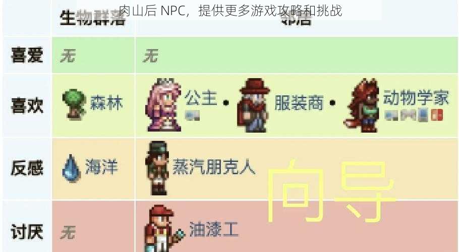 肉山后 NPC，提供更多游戏攻略和挑战