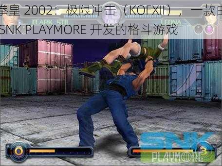 拳皇 2002：极限冲击（KOFXII），一款由 SNK PLAYMORE 开发的格斗游戏