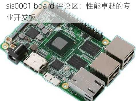 sis0001 board 评论区：性能卓越的专业开发板