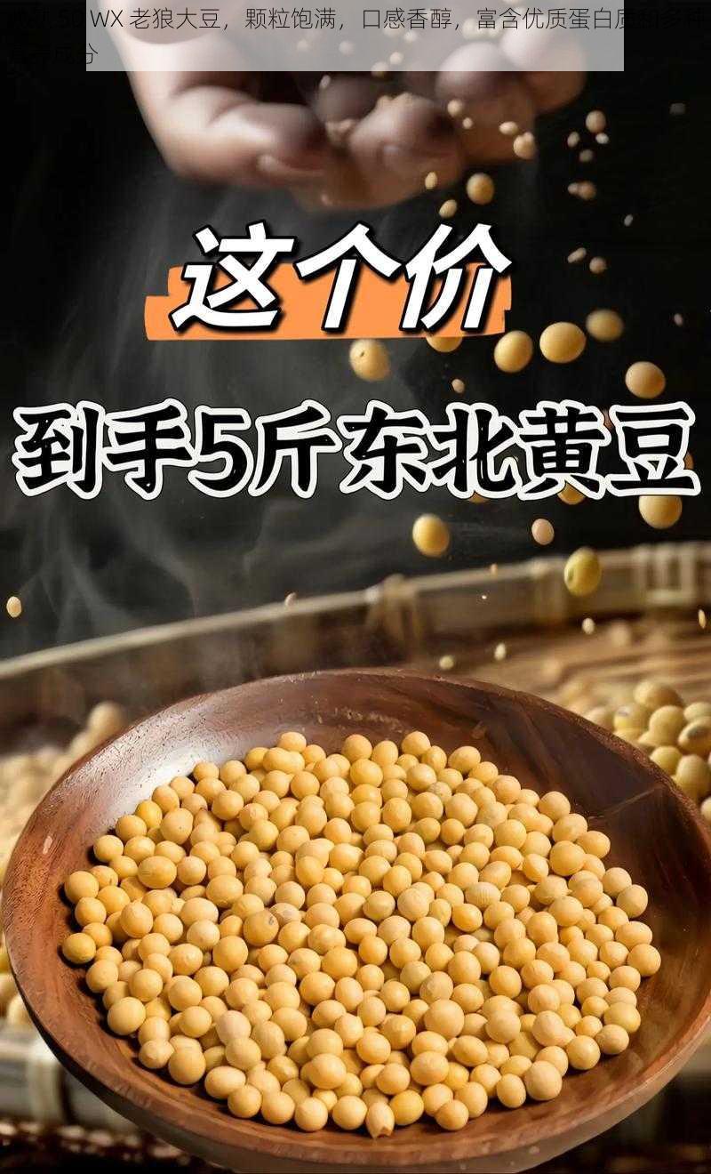 成熟 50 WX 老狼大豆，颗粒饱满，口感香醇，富含优质蛋白质和多种营养成分