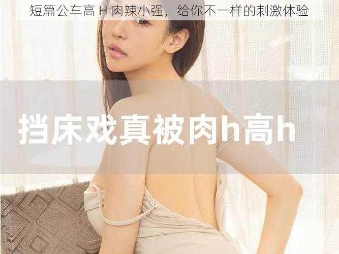 短篇公车高 H 肉辣小强，给你不一样的刺激体验