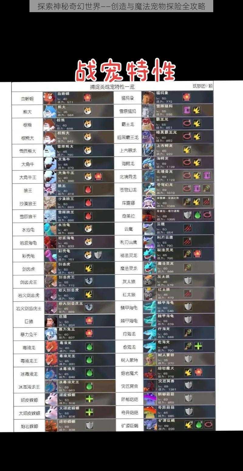 探索神秘奇幻世界——创造与魔法宠物探险全攻略