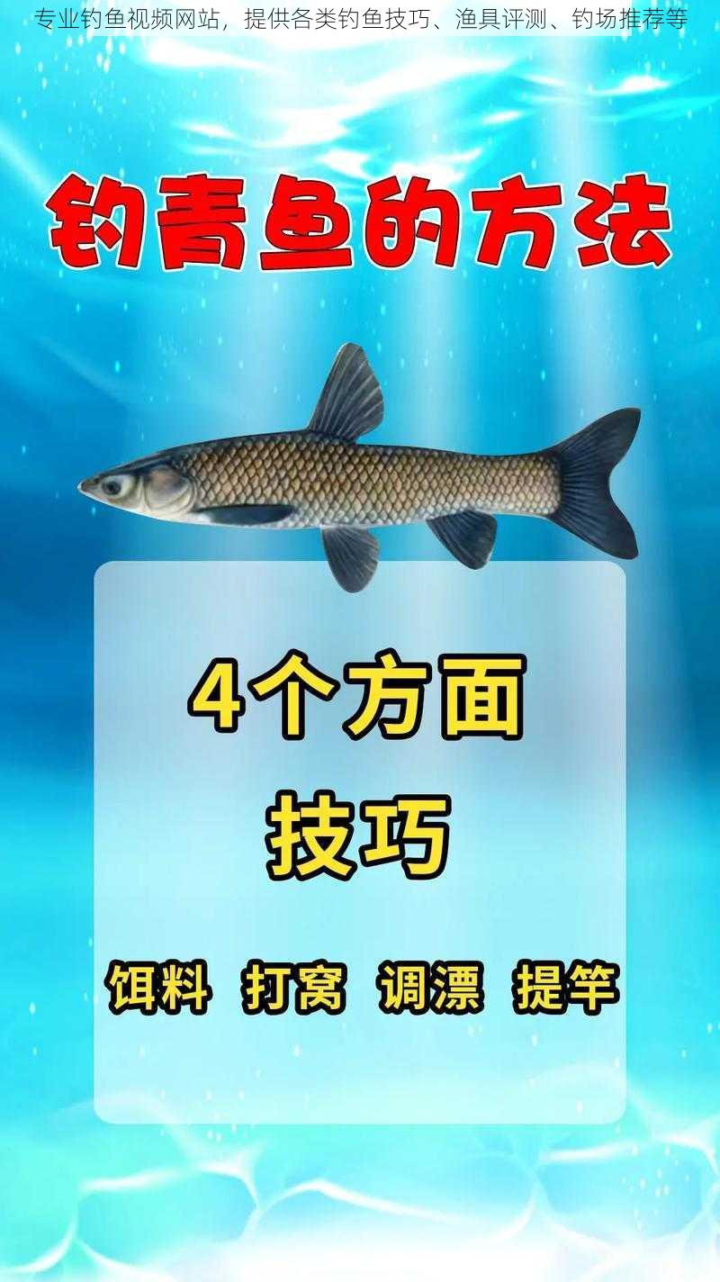 专业钓鱼视频网站，提供各类钓鱼技巧、渔具评测、钓场推荐等