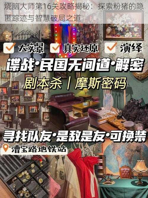 烧脑大师第16关攻略揭秘：探索粉猪的隐匿踪迹与智慧破局之道