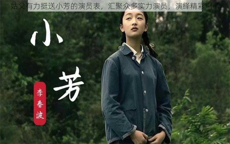 姑父有力挺送小芳的演员表，汇聚众多实力演员，演绎精彩剧情