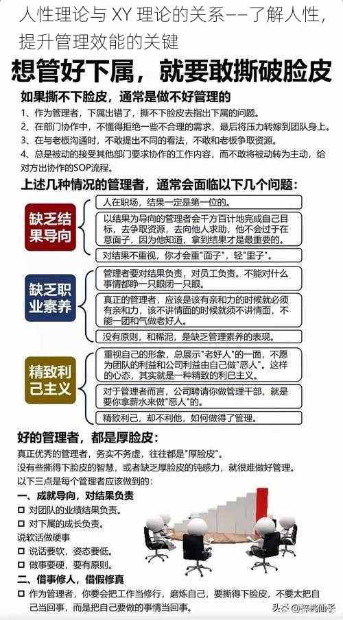 人性理论与 XY 理论的关系——了解人性，提升管理效能的关键