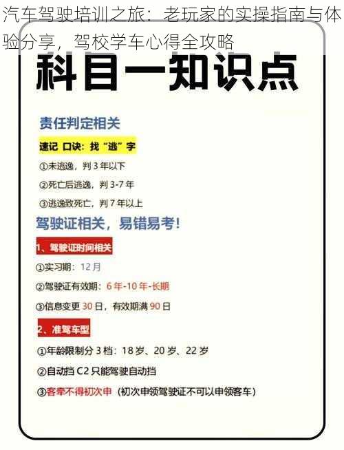 汽车驾驶培训之旅：老玩家的实操指南与体验分享，驾校学车心得全攻略