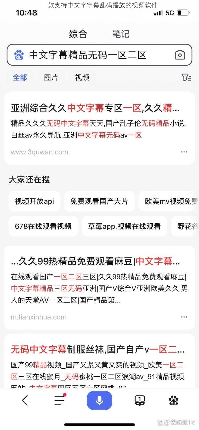 一款支持中文字字幕乱码播放的视频软件