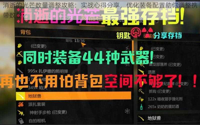 消逝的光芒数量调整攻略：实战心得分享，优化装备配置助你调整携带数量