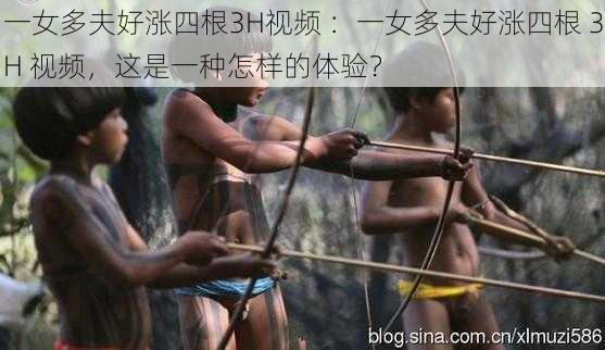 一女多夫好涨四根3H视频 ：一女多夫好涨四根 3H 视频，这是一种怎样的体验？