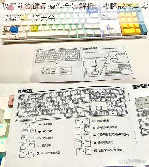 敌军前线键盘操作全景解析：战略战术与实战操作一览无余