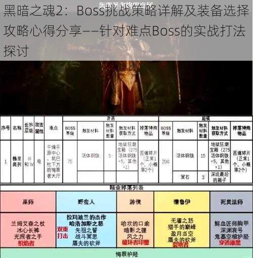 黑暗之魂2：Boss挑战策略详解及装备选择攻略心得分享——针对难点Boss的实战打法探讨