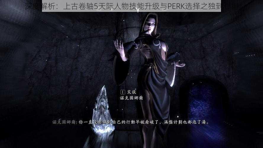 深度解析：上古卷轴5天际人物技能升级与PERK选择之独到心得