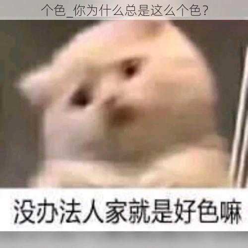 个色_你为什么总是这么个色？