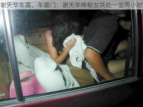 谢天华车震、车震门：谢天华神秘女共处一室两小时