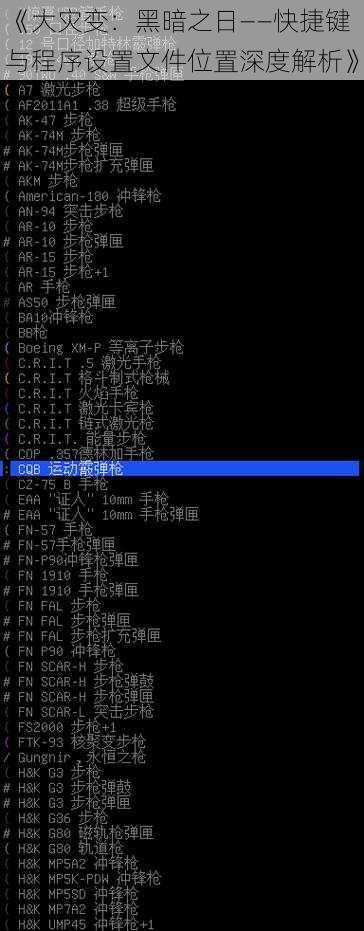 《大灾变：黑暗之日——快捷键与程序设置文件位置深度解析》