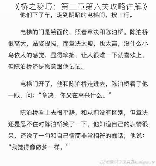 《桥之秘境：第二章第六关攻略详解》