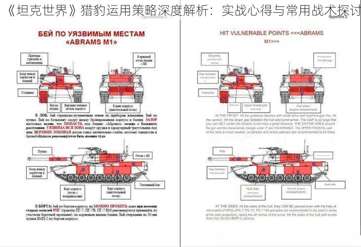 《坦克世界》猎豹运用策略深度解析：实战心得与常用战术探讨