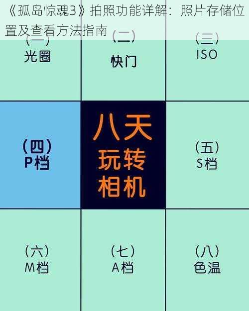 《孤岛惊魂3》拍照功能详解：照片存储位置及查看方法指南