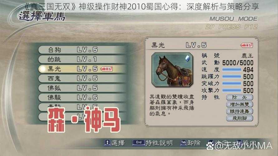 《真三国无双》神级操作财神2010蜀国心得：深度解析与策略分享