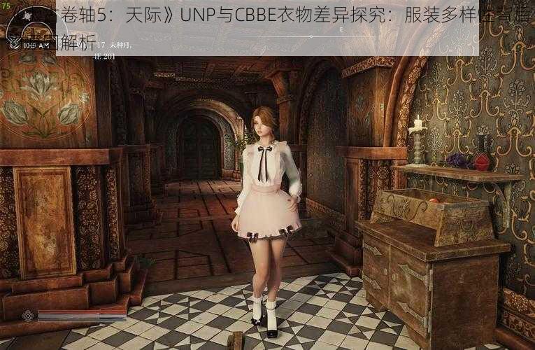 《上古卷轴5：天际》UNP与CBBE衣物差异探究：服装多样性背后的原因解析