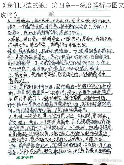 《我们身边的狼：第四章——深度解析与图文攻略》