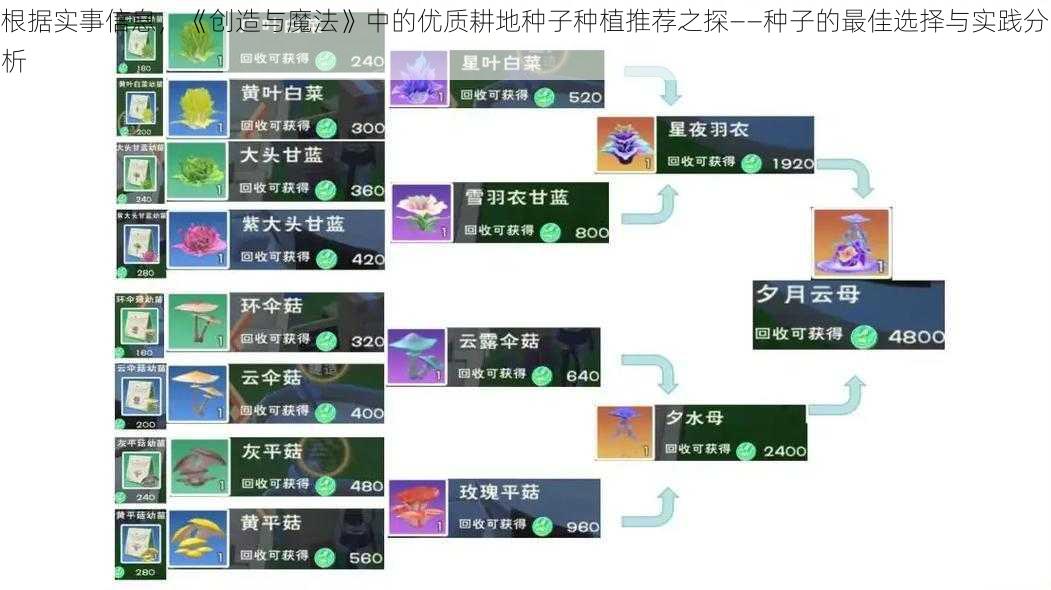 根据实事信息，《创造与魔法》中的优质耕地种子种植推荐之探——种子的最佳选择与实践分析