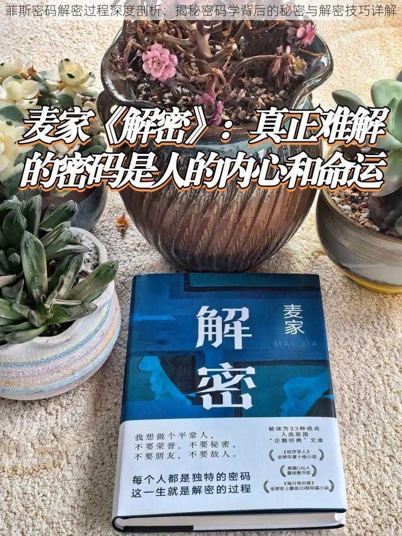 菲斯密码解密过程深度剖析：揭秘密码学背后的秘密与解密技巧详解