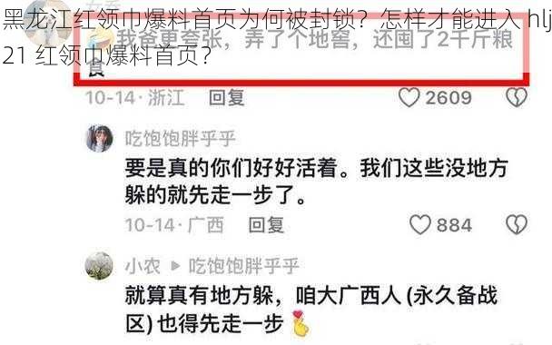 黑龙江红领巾爆料首页为何被封锁？怎样才能进入 hlj21 红领巾爆料首页？