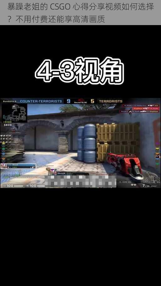 暴躁老姐的 CSGO 心得分享视频如何选择？不用付费还能享高清画质