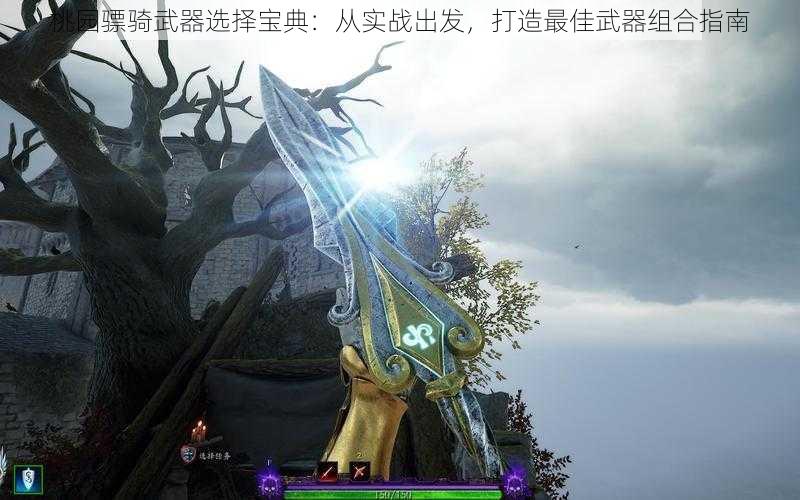 桃园骠骑武器选择宝典：从实战出发，打造最佳武器组合指南