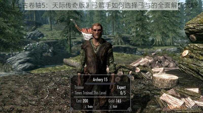 《上古卷轴5：天际传奇版》弓箭手如何选择弓与的全面解析攻略