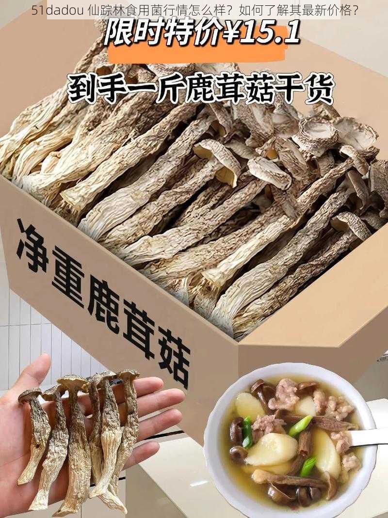 51dadou 仙踪林食用菌行情怎么样？如何了解其最新价格？