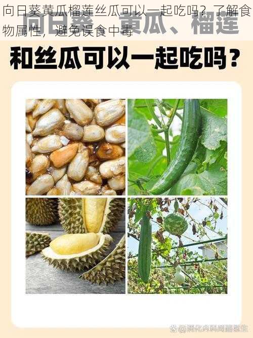 向日葵黄瓜榴莲丝瓜可以一起吃吗？了解食物属性，避免误食中毒