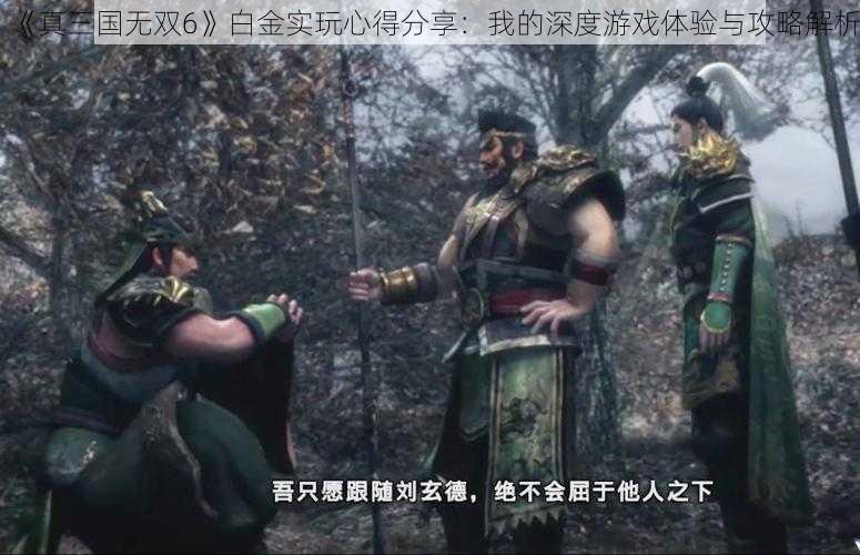 《真三国无双6》白金实玩心得分享：我的深度游戏体验与攻略解析