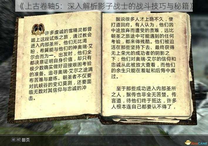 《上古卷轴5：深入解析影子战士的战斗技巧与秘籍》