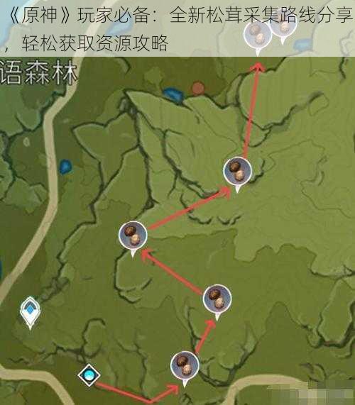 《原神》玩家必备：全新松茸采集路线分享，轻松获取资源攻略