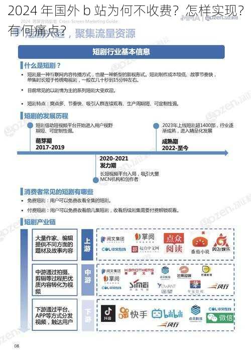 2024 年国外 b 站为何不收费？怎样实现？有何痛点？