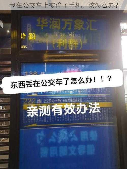 我在公交车上被偷了手机，该怎么办？